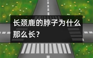 長(zhǎng)頸鹿的脖子為什么那么長(zhǎng)？
