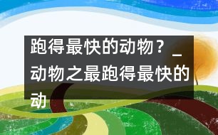 跑得最快的動物？_動物之最：跑得最快的動物？
