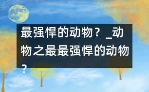 最強(qiáng)悍的動(dòng)物？_動(dòng)物之最：最強(qiáng)悍的動(dòng)物？