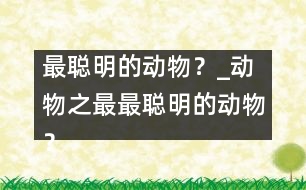 最聰明的動物？_動物之最：最聰明的動物？