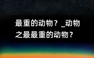最重的動物？_動物之最：最重的動物？