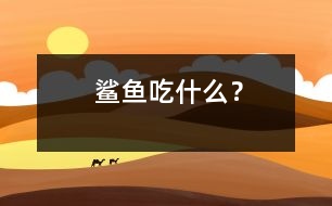 鯊魚吃什么？