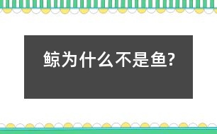 鯨為什么不是魚(yú)?
