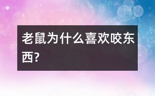 老鼠為什么喜歡咬東西?