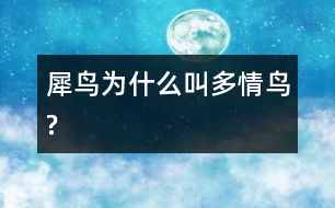犀鳥(niǎo)為什么叫“多情鳥(niǎo)”?