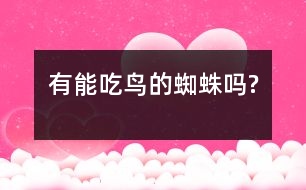 有能吃鳥(niǎo)的蜘蛛嗎?