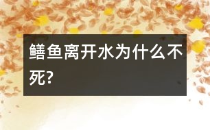 鱔魚離開水為什么不死?