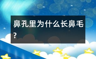 鼻孔里為什么長(zhǎng)鼻毛?