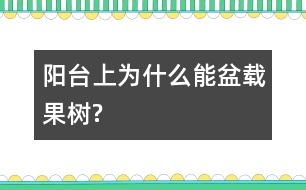 陽臺(tái)上為什么能盆載果樹?