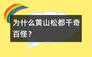 為什么黃山松都千奇百怪？