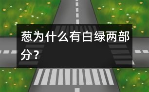 蔥為什么有白、綠兩部分？