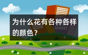 為什么花有各種各樣的顏色？