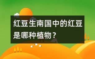 “紅豆生南國(guó)”中的紅豆是哪種植物？