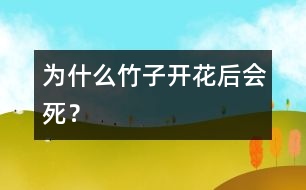 為什么竹子開花后會(huì)死？