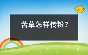 苦草怎樣傳粉？