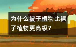 為什么被子植物比裸子植物更高級(jí)？