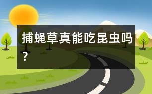 捕蠅草真能吃昆蟲(chóng)嗎？
