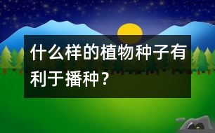 什么樣的植物種子有利于播種？