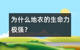 為什么地衣的生命力極強(qiáng)？
