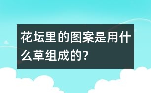 花壇里的圖案是用什么草組成的？