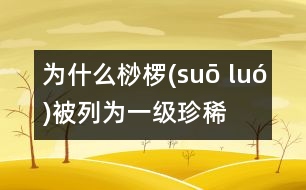 為什么桫欏(suō luó)被列為一級珍稀植物？