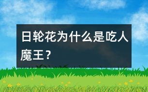 日輪花為什么是“吃人魔王”？
