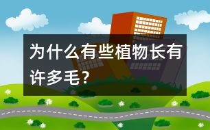 為什么有些植物長(zhǎng)有許多毛？