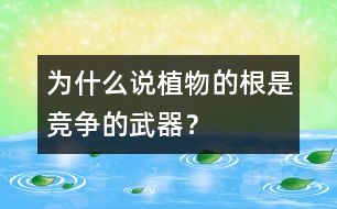 為什么說植物的根是競爭的武器？