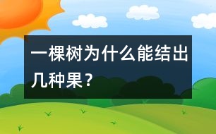 一棵樹為什么能結(jié)出幾種果？