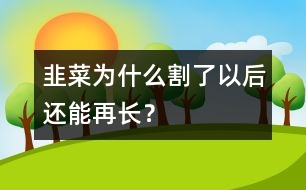 韭菜為什么割了以后還能再長？