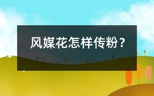 風媒花怎樣傳粉？