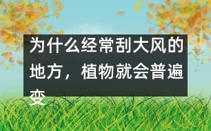 為什么經(jīng)常刮大風(fēng)的地方，植物就會普遍變矮變粗？
