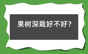 果樹深栽好不好？
