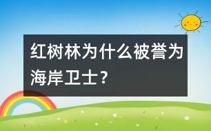 紅樹(shù)林為什么被譽(yù)為“海岸衛(wèi)士”？
