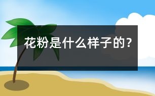 花粉是什么樣子的？