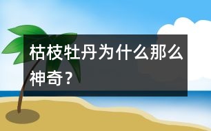 枯枝牡丹為什么那么神奇？