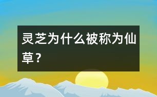 靈芝為什么被稱為“仙草”？