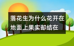 落花生為什么花開在地面上,果實卻結在地下？