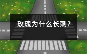 玫瑰為什么長刺？