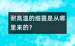 耐高溫的細(xì)菌是從哪里來(lái)的？