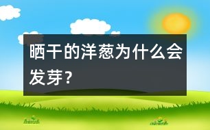 曬干的洋蔥為什么會(huì)發(fā)芽？
