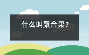 什么叫聚合果？
