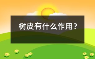 樹皮有什么作用？