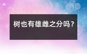 樹也有雄雌之分嗎？