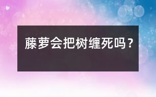 藤蘿會(huì)把樹(shù)纏死嗎？