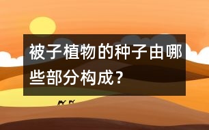 被子植物的種子由哪些部分構(gòu)成？