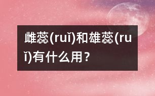 雌蕊(ruǐ)和雄蕊(ruǐ)有什么用？