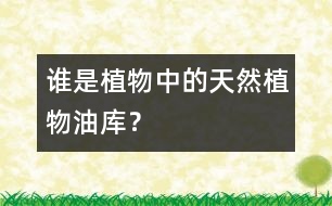 誰是植物中的“天然植物油庫”？