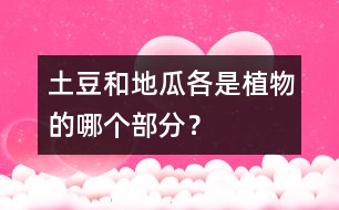 土豆和地瓜各是植物的哪個部分？