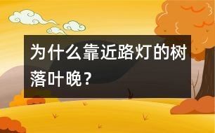 為什么靠近路燈的樹落葉晚？